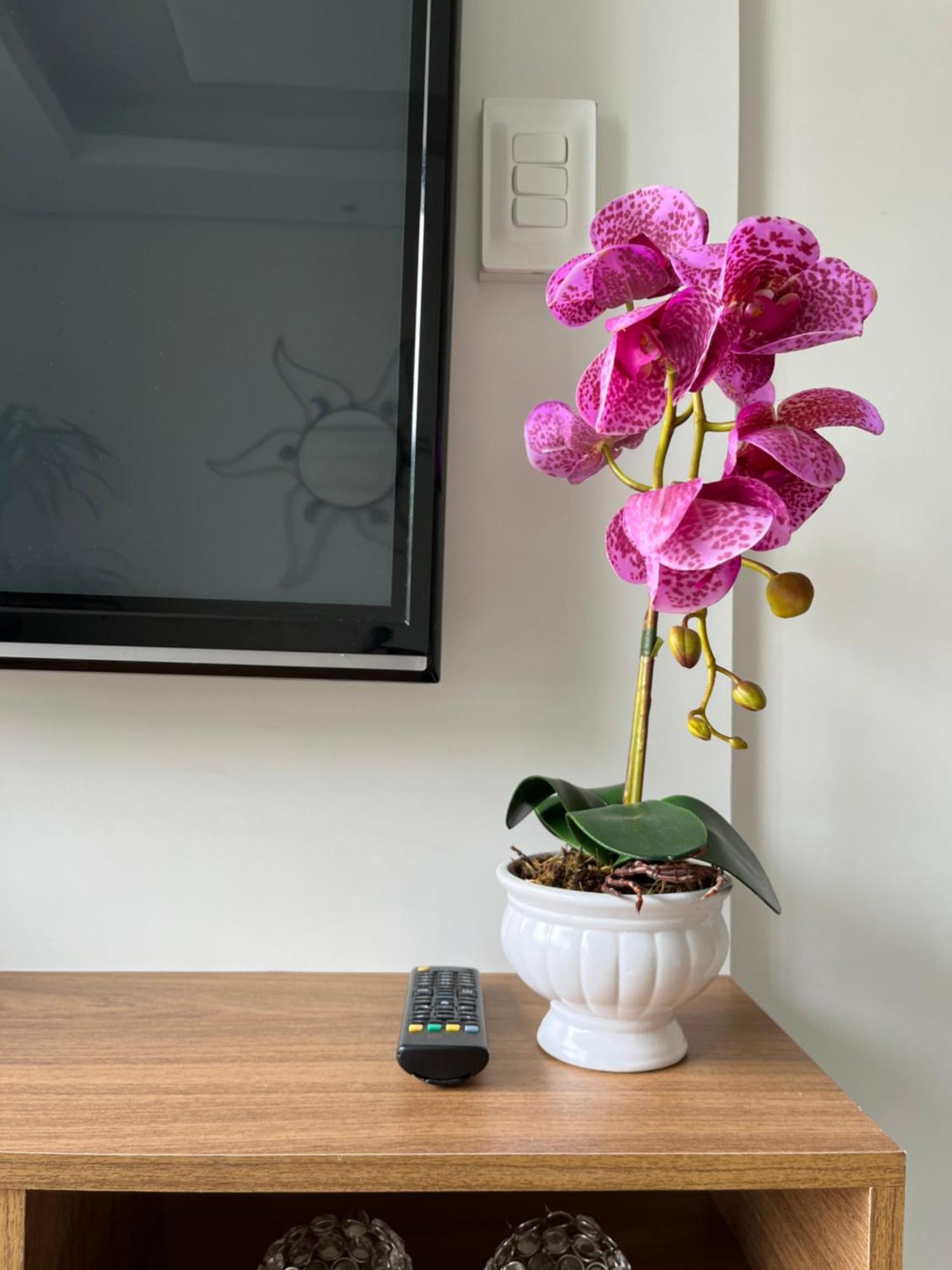 Apartamento Praia 과루자 외부 사진